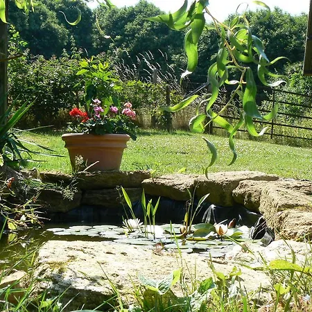Ma Maison Le Petit Bois Panzió *